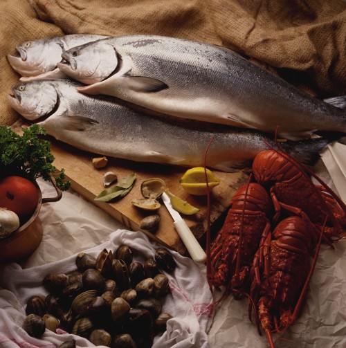 Salmon is a good source of omega-3 fatty acids, but are they dangerously polluted?